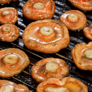 Dished Marinated Proteins for August